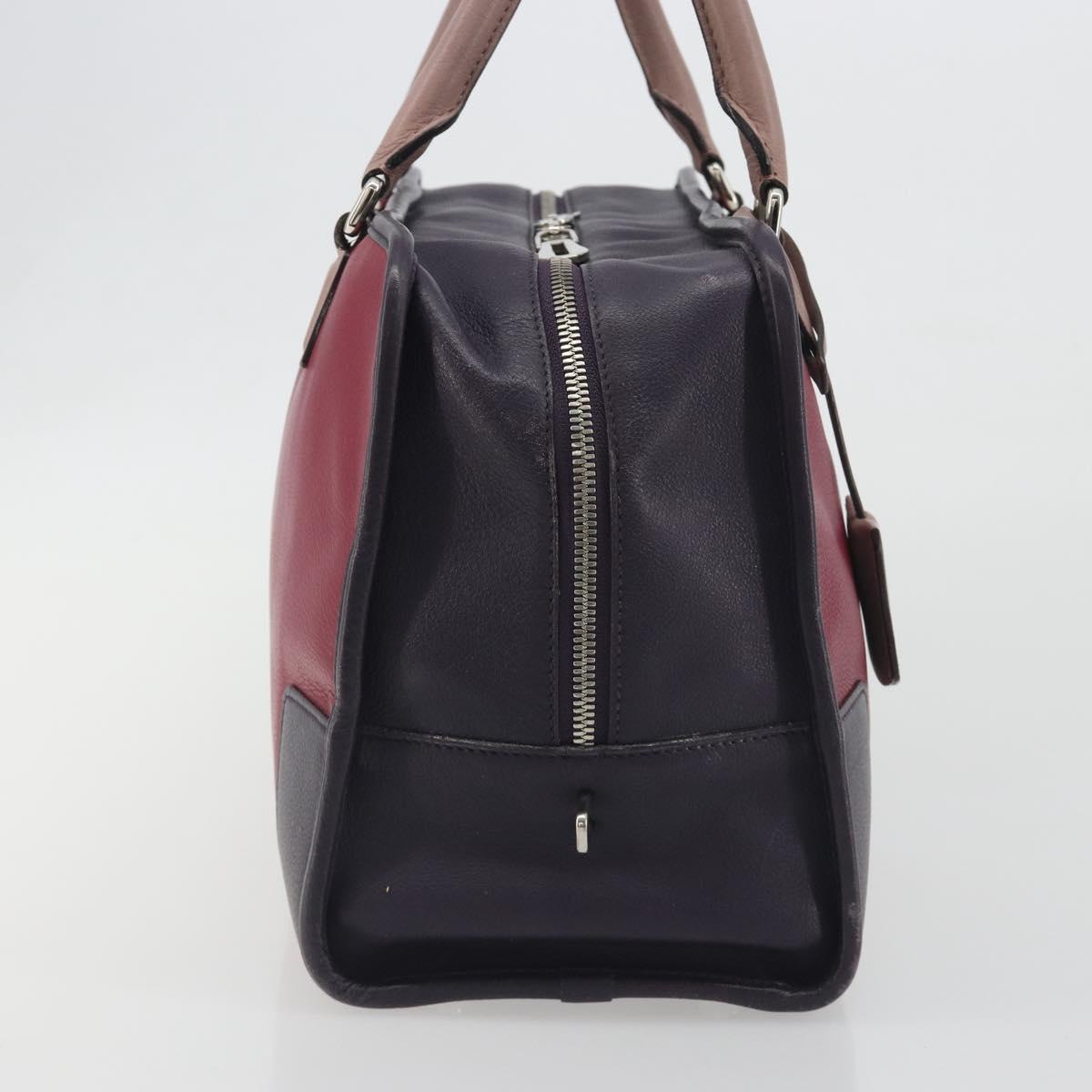 LOEWE Amazona 36 Hand Bag Leather Purple Silver Auth 195986A
