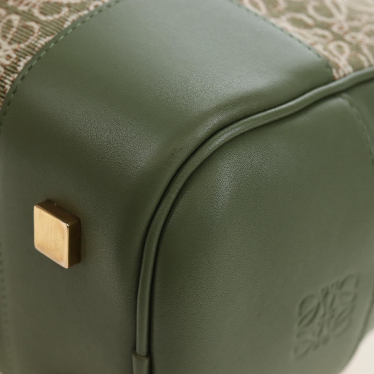 LOEWE Amazona 19 Hand Bag Canvas 2way Beige Gold Auth 196053SAM