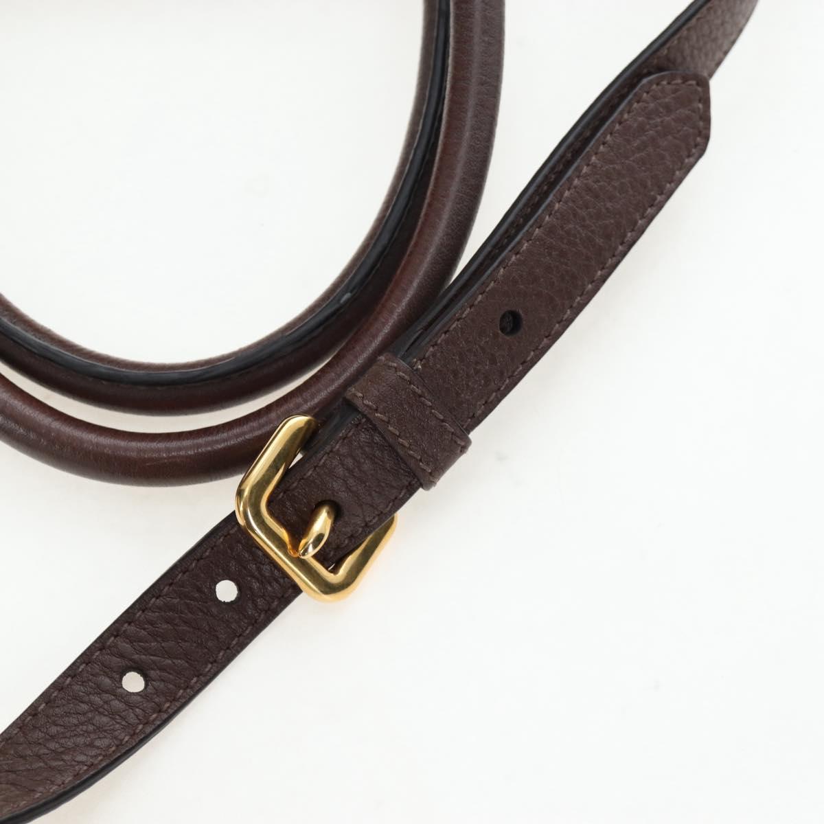 PRADA Hand Bag Vittero Dino Leather 2way Brown Gold Auth 196084V