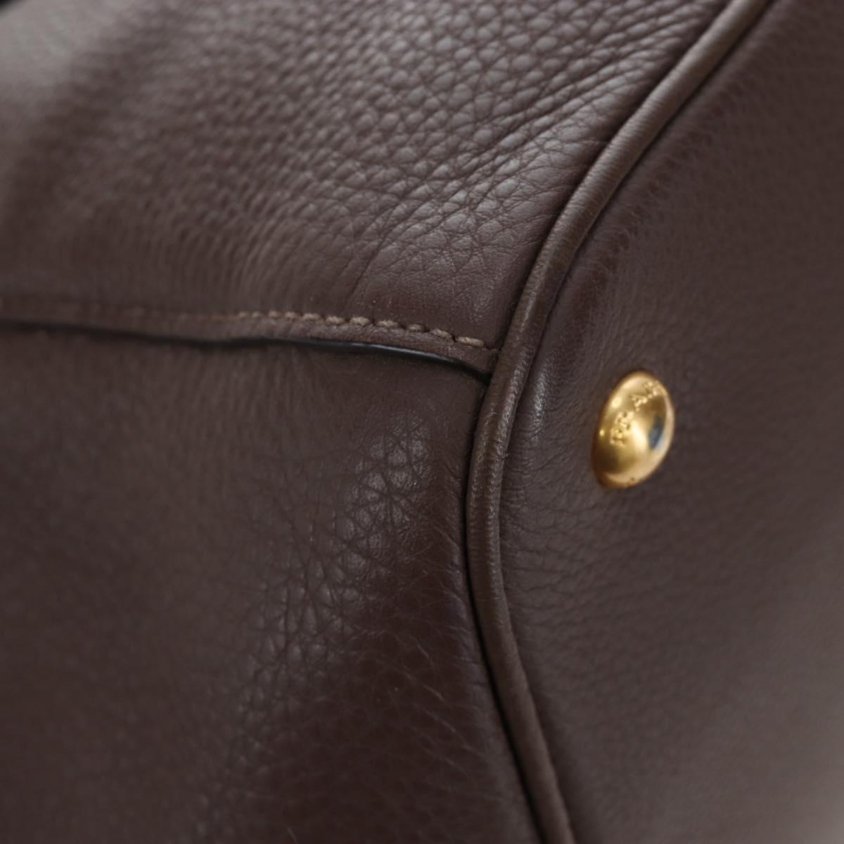 PRADA Hand Bag Vittero Dino Leather 2way Brown Gold Auth 196084V