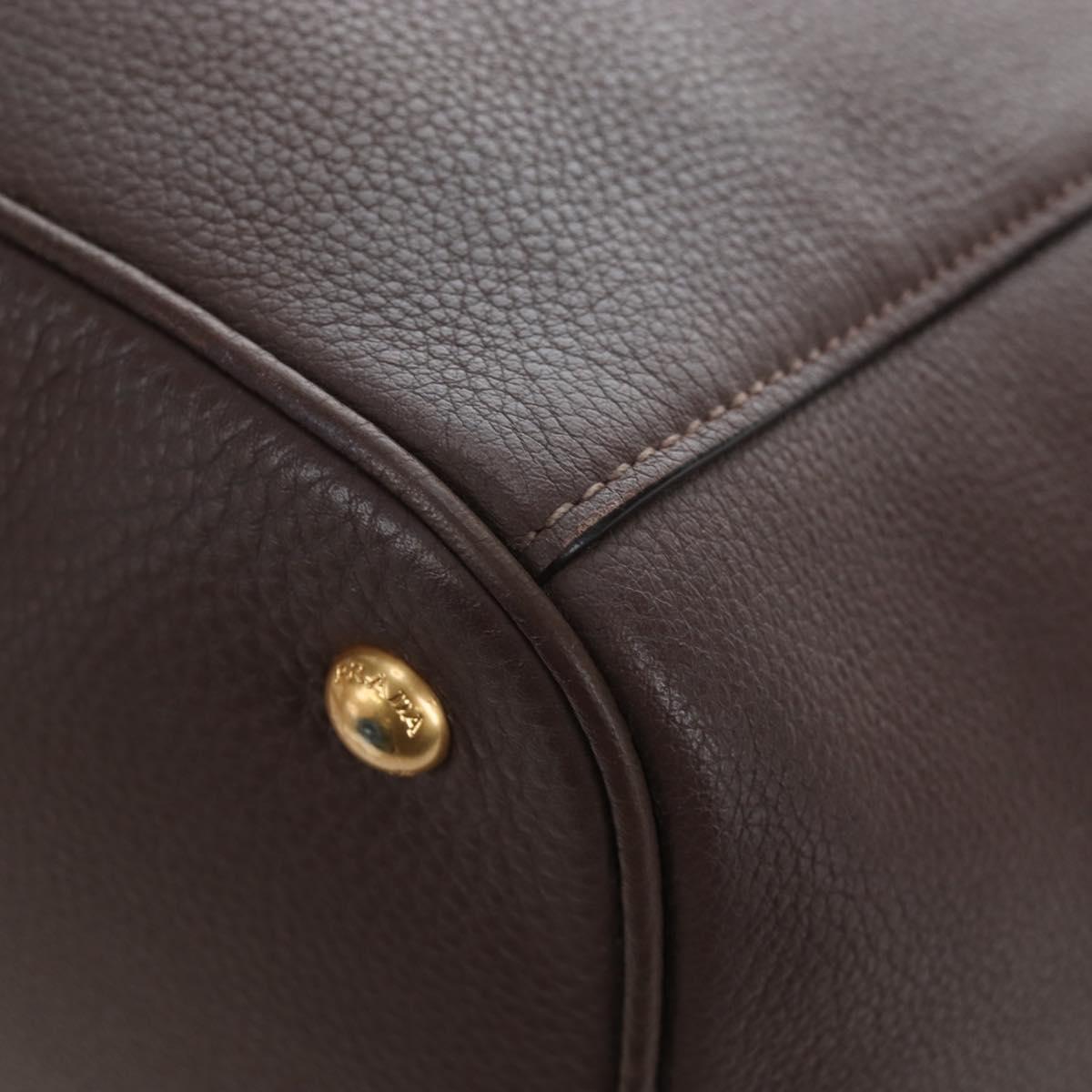 PRADA Hand Bag Vittero Dino Leather 2way Brown Gold Auth 196084V