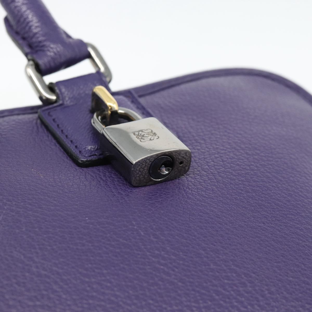LOEWE Amazona 36 Hand Bag Leather Purple Silver Auth 196090