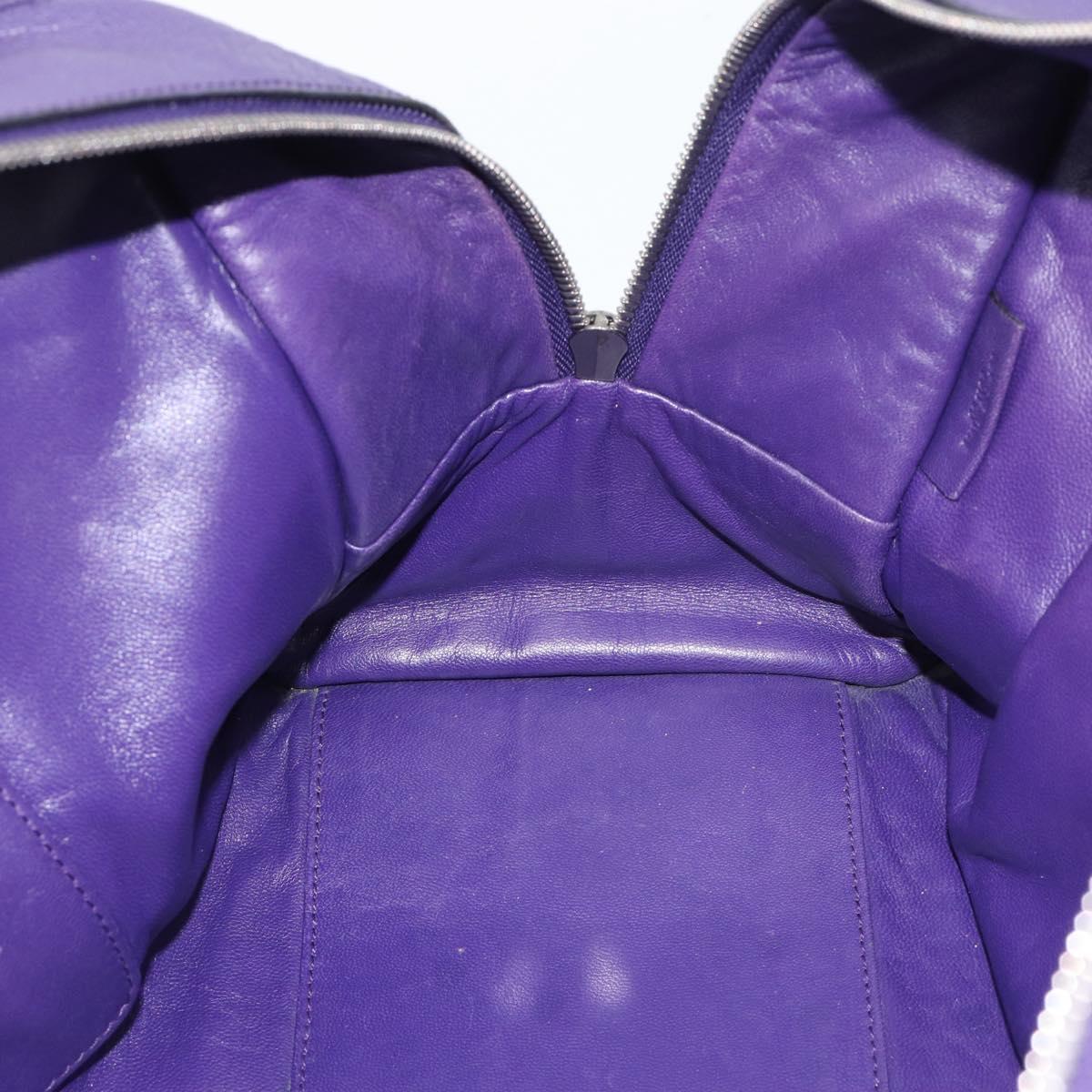LOEWE Amazona 36 Hand Bag Leather Purple Silver Auth 196090