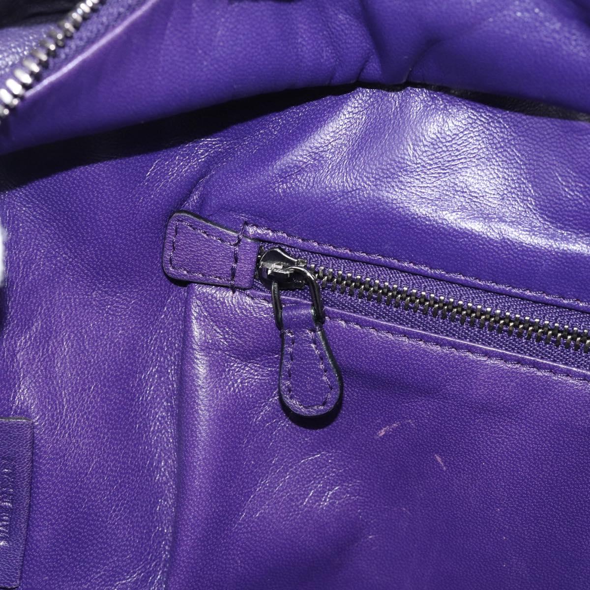 LOEWE Amazona 36 Hand Bag Leather Purple Silver Auth 196090