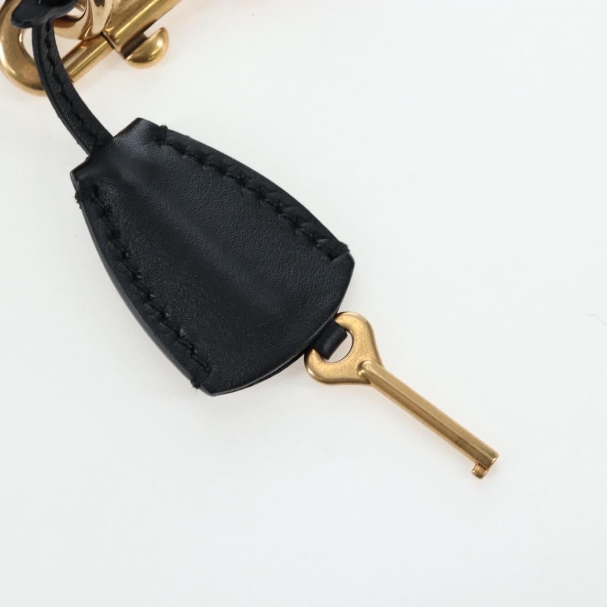 Christian Dior Lockbox Zodiac Bag Leather 2017 limited Black Gold Auth 196246M