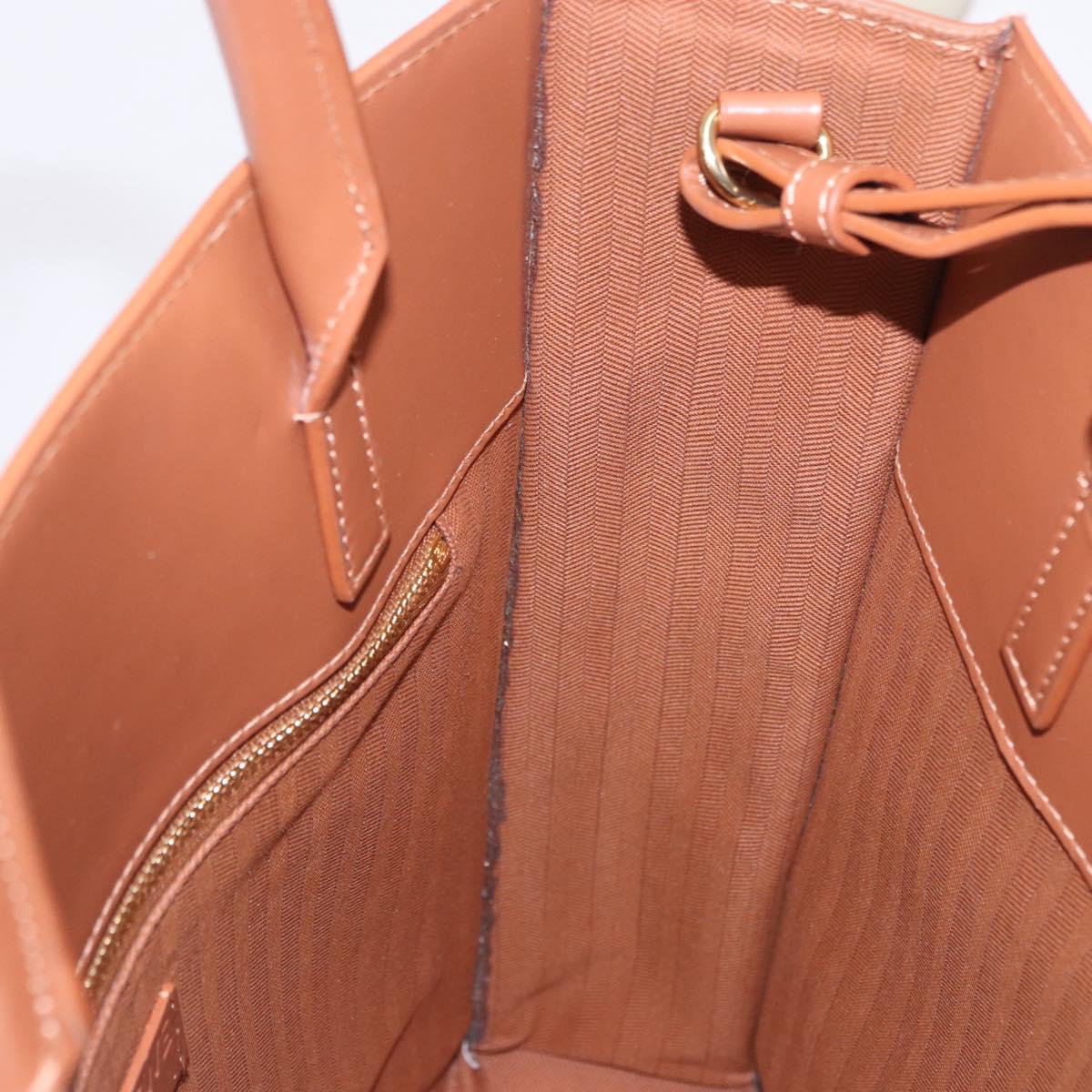 LOEWE Standard A4 Hand Bag Leather 2way Brown Gold Auth 196677A