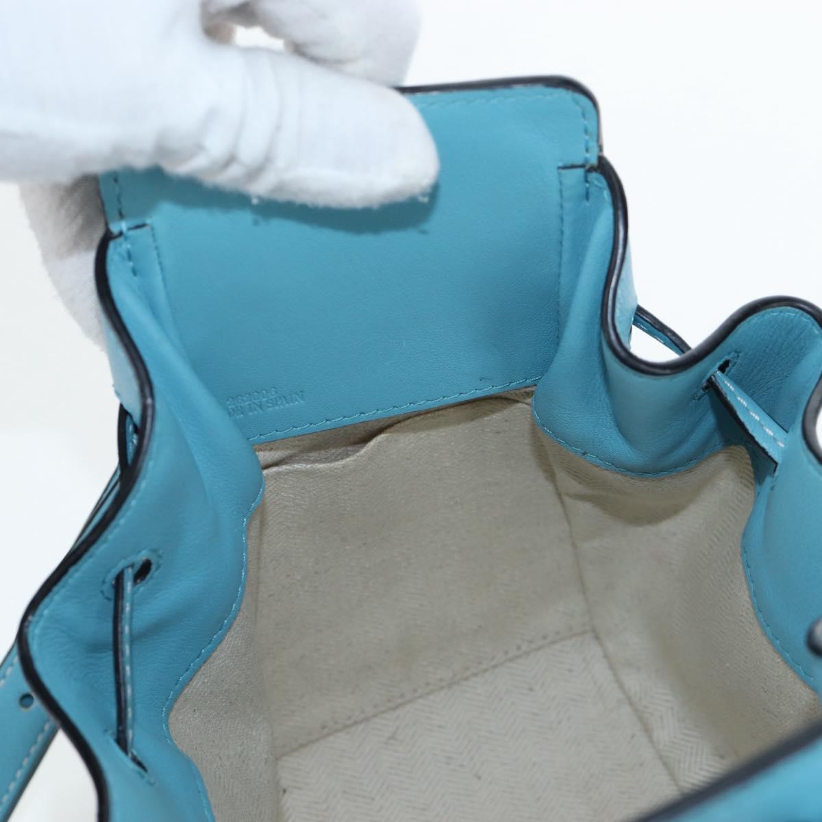 LOEWE Hammock Flower Hand Bag Leather Light Blue Auth 196827SAM
