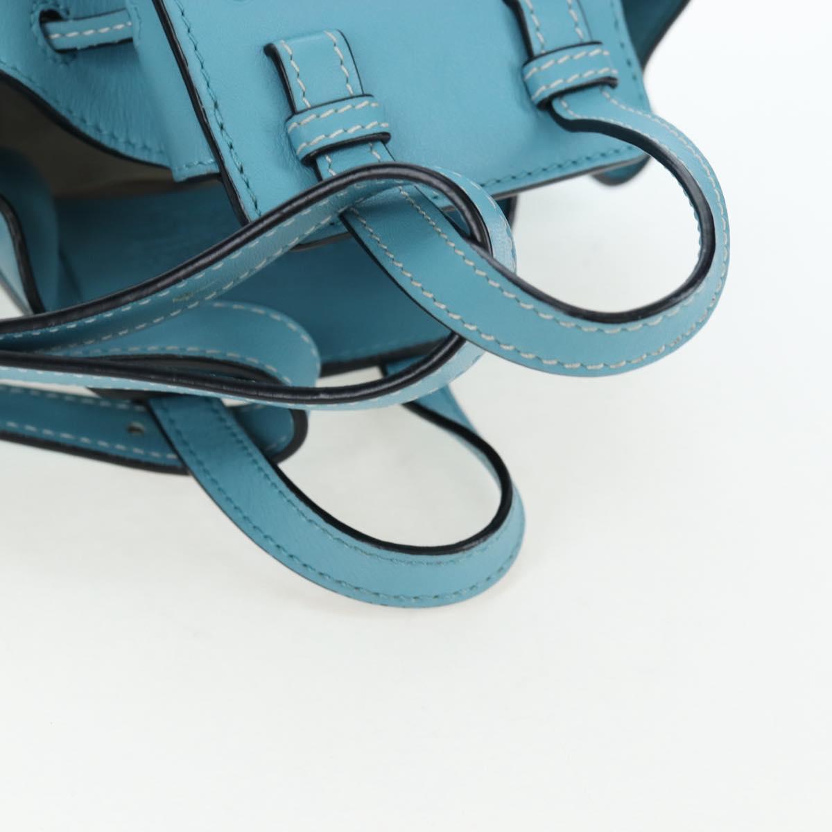 LOEWE Hammock Flower Hand Bag Leather Light Blue Auth 196827SAM