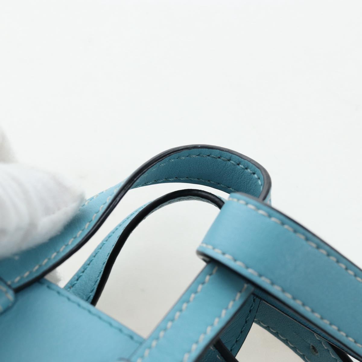 LOEWE Hammock Flower Hand Bag Leather Light Blue Auth 196827SAM