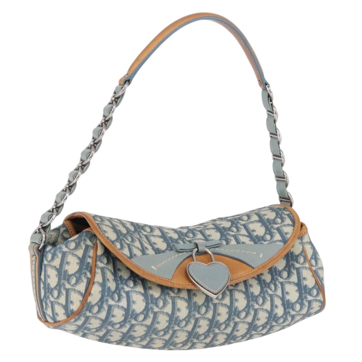 Christian Dior Trotter Canvas Romantic Chain Bag PVC Blue Silver Auth 197045SAM
