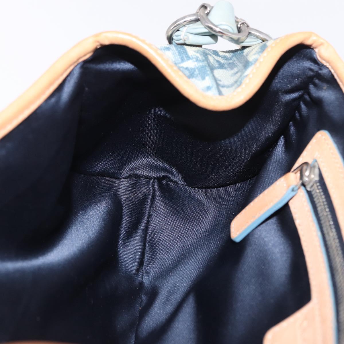 Christian Dior Trotter Canvas Romantic Chain Bag PVC Blue Silver Auth 197045SAM