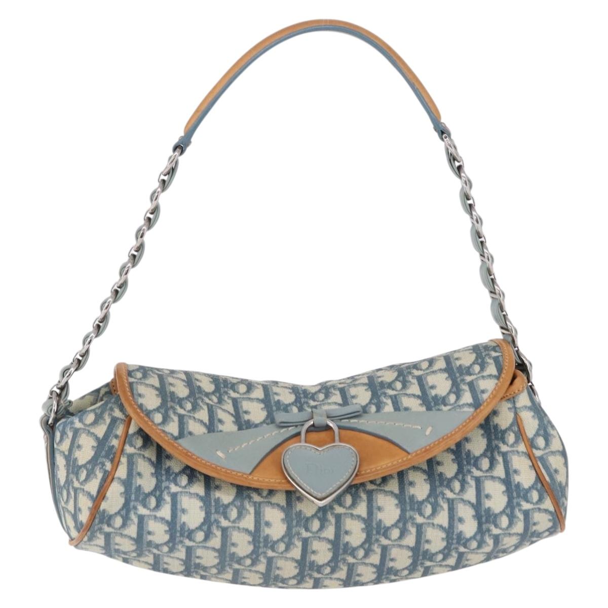 Christian Dior Trotter Canvas Romantic Chain Bag PVC Blue Silver Auth 197045SAM