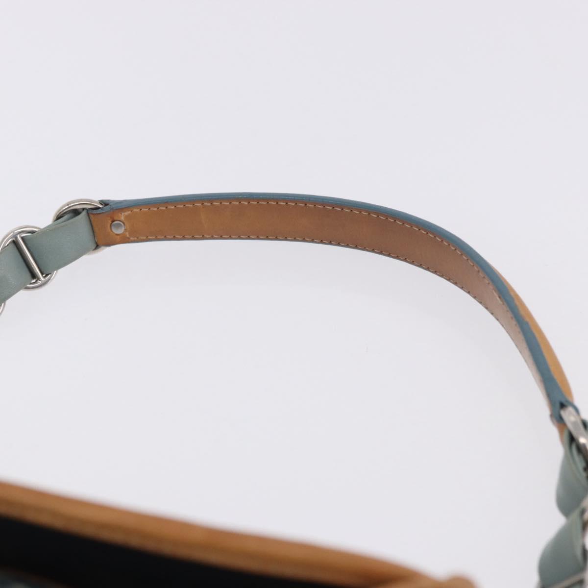 Christian Dior Trotter Canvas Romantic Chain Bag PVC Blue Silver Auth 197045SAM