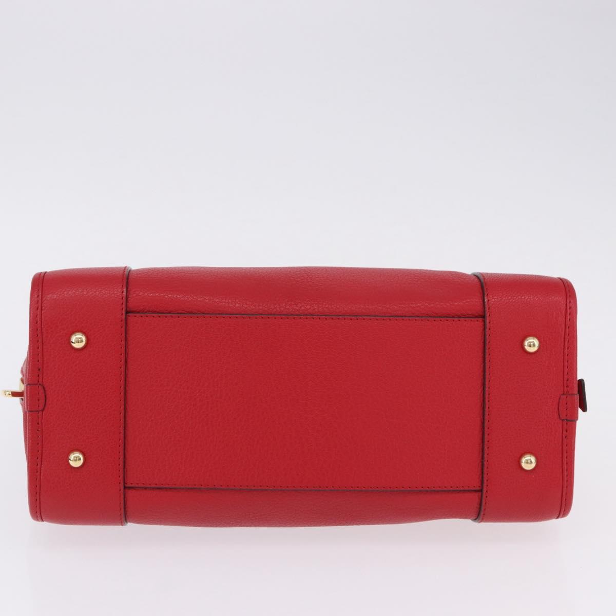 LOEWE Amazona 28 Hand Bag Leather Red Gold Auth 197185SAM
