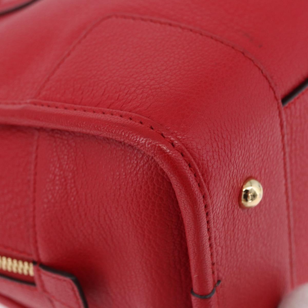 LOEWE Amazona 28 Hand Bag Leather Red Gold Auth 197185SAM