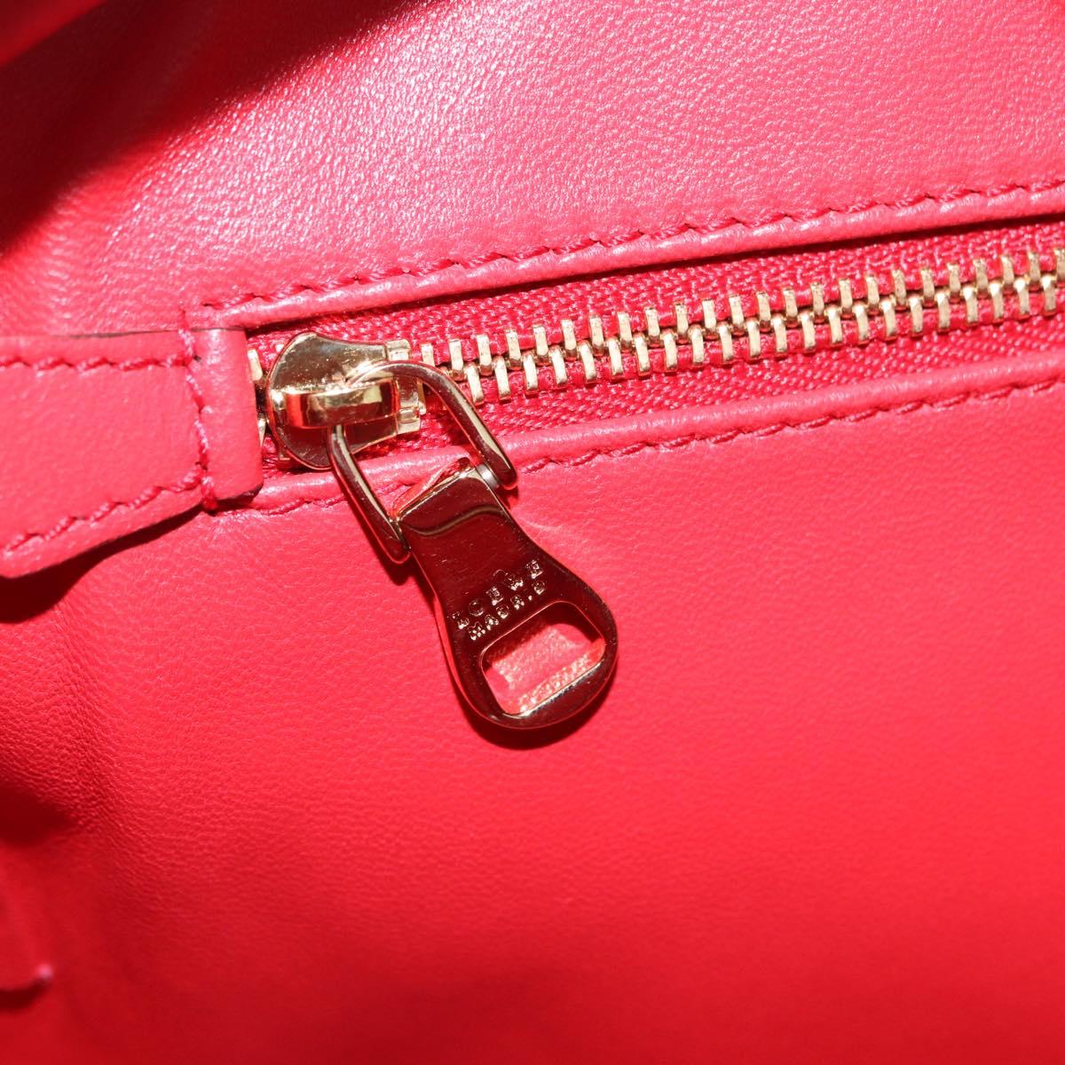 LOEWE Amazona 28 Hand Bag Leather Red Gold Auth 197185SAM
