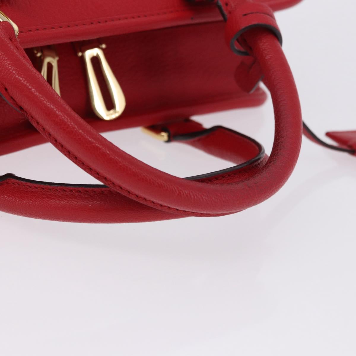LOEWE Amazona 28 Hand Bag Leather Red Gold Auth 197185SAM