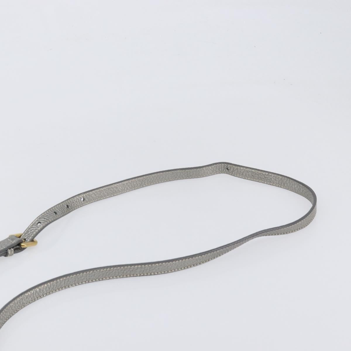 PRADA Hand Bag Vittero Dino Leather 2way Silver Gold Auth 197342V