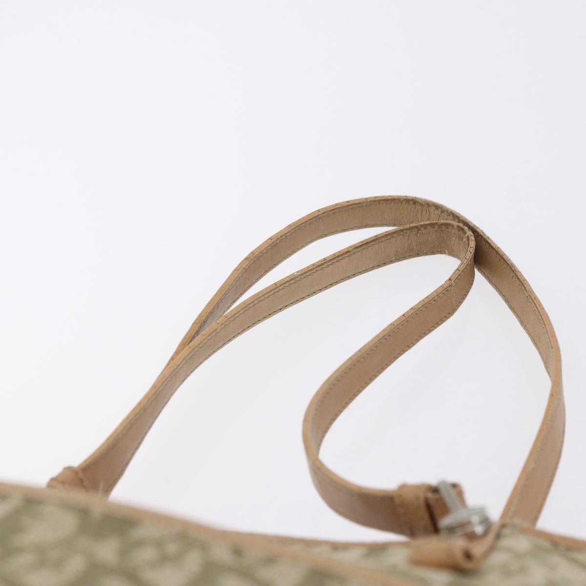 Christian Dior Trotter Canvas Tote Bag Green Silver Auth 198332