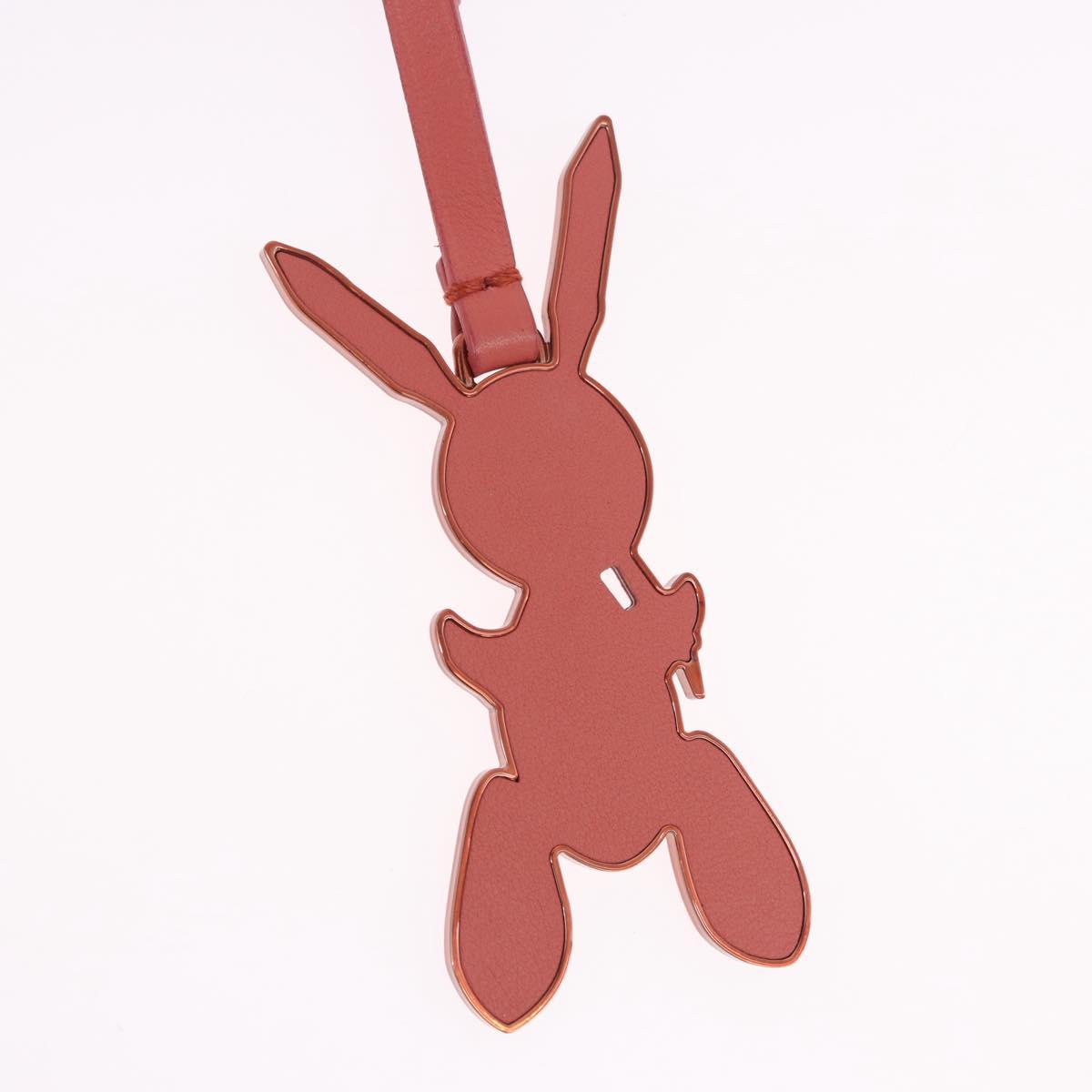 LOUIS VUITTON Rabbit Bag Charm metal Jeff Queens Collaboration Pink Auth 198830M