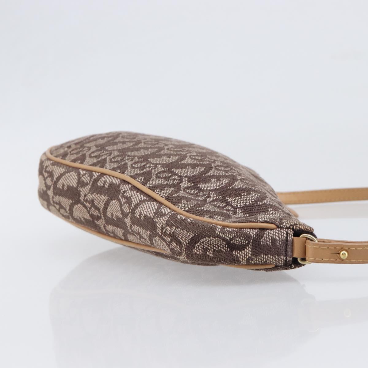 Christian Dior Trotter Canvas Saddle Pouch Brown Gold Tone Auth 199384V