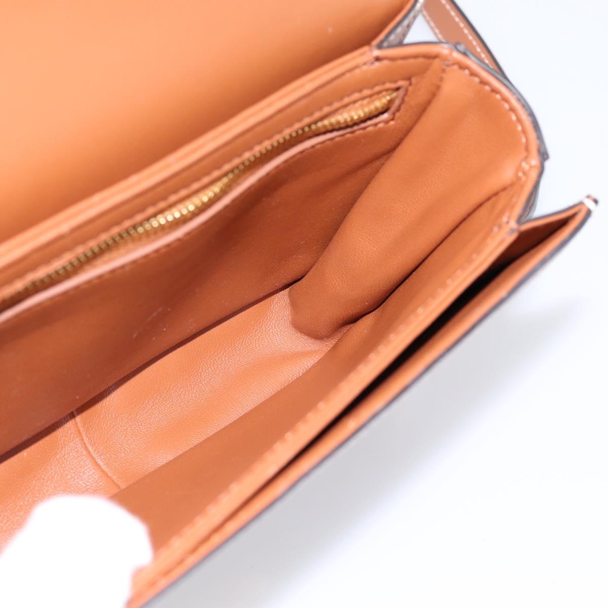 CELINE Triomphe Shoulder Bag PVC Leather Brown Gold Tone Auth 199806SM