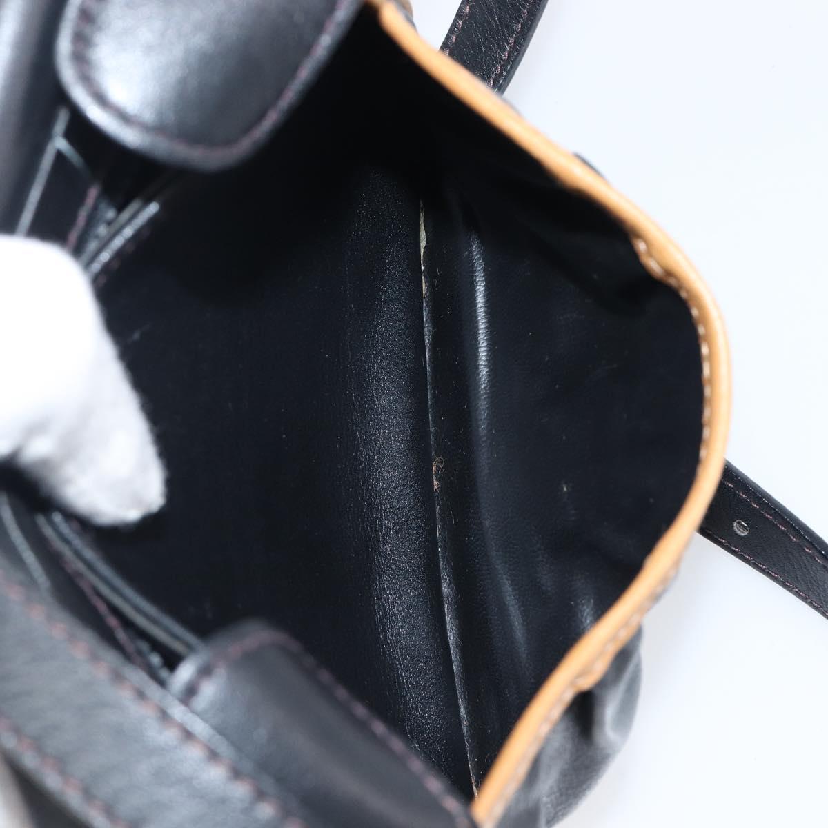 CELINE Shoulder Bag Leather Black Gold Auth 199823