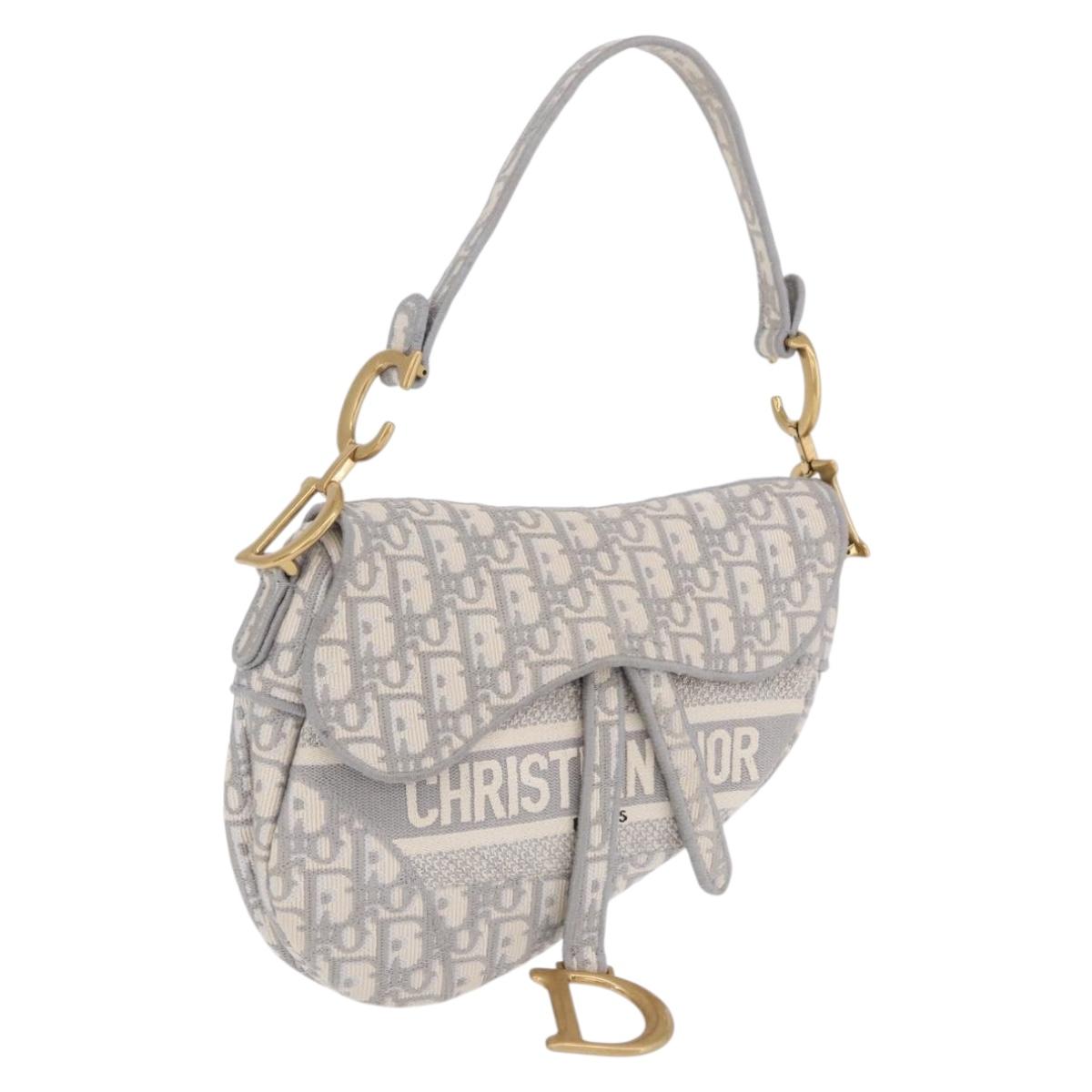 Christian Dior Trotter Canvas Saddle Oblique Bag Gray Gold Auth 199836SM