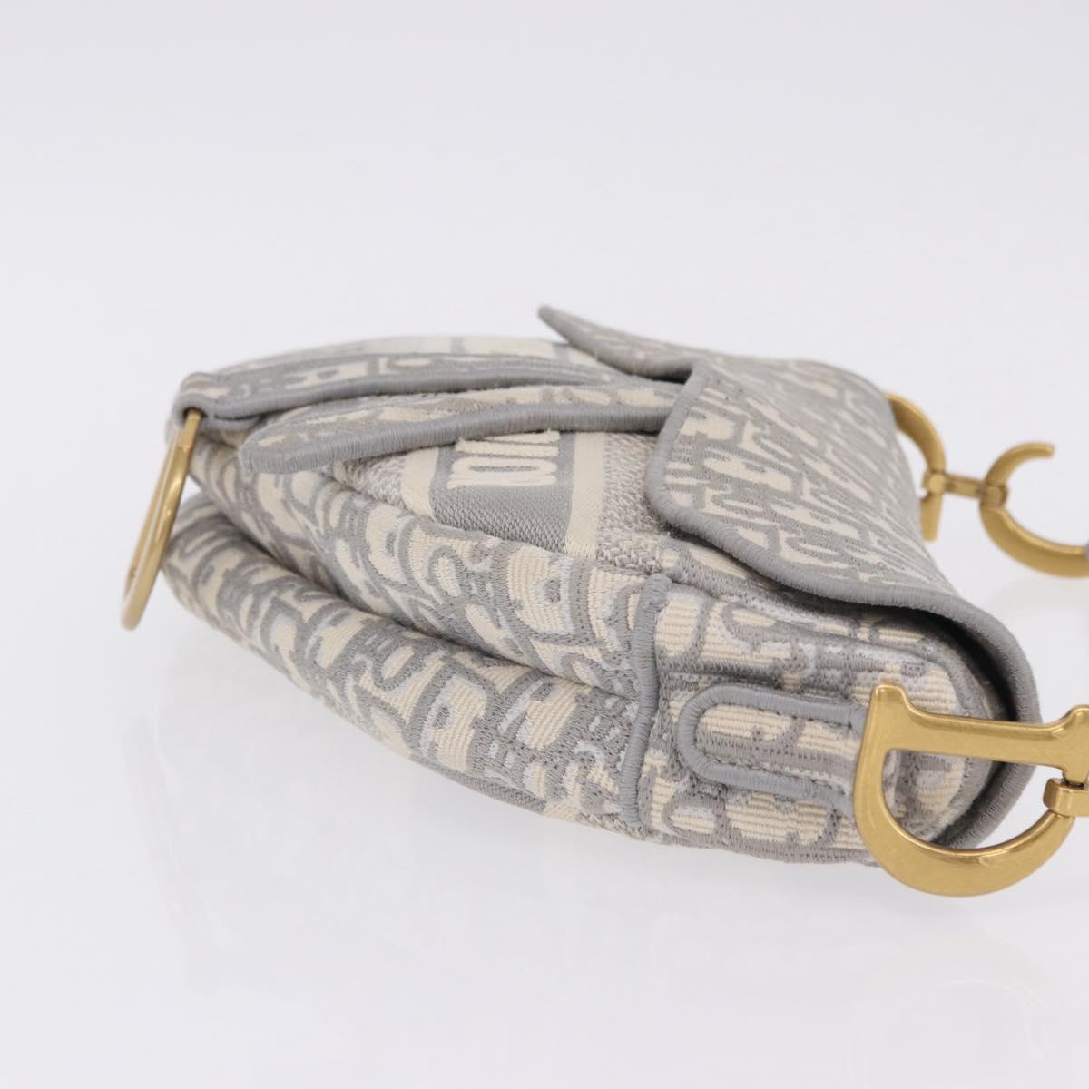 Christian Dior Trotter Canvas Saddle Oblique Bag Gray Gold Auth 199836SM