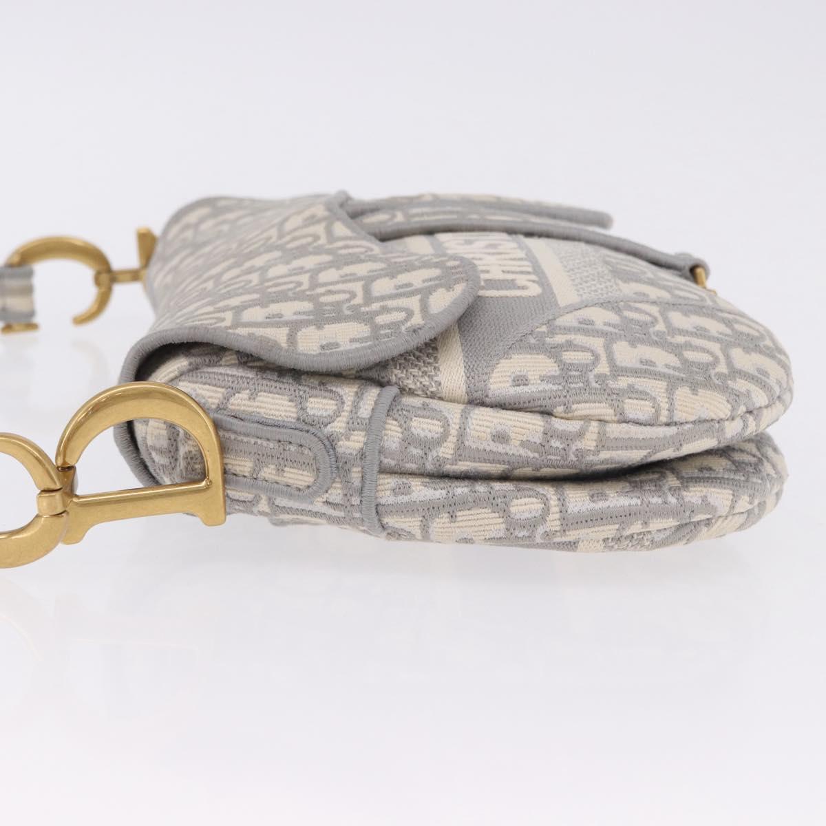 Christian Dior Trotter Canvas Saddle Oblique Bag Gray Gold Auth 199836SM