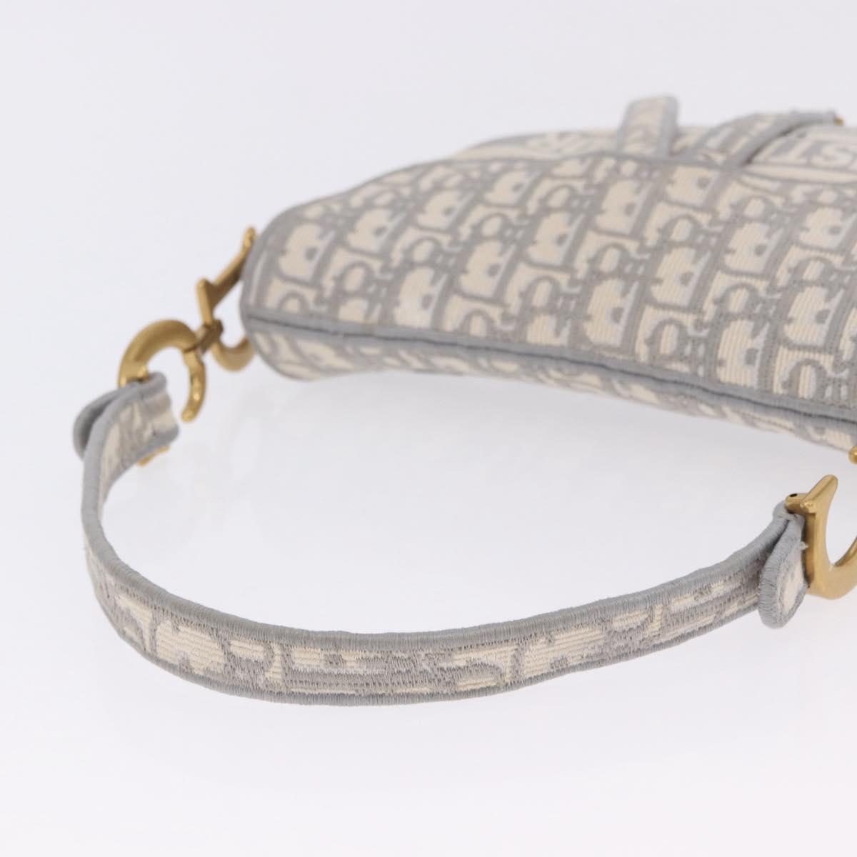 Christian Dior Trotter Canvas Saddle Oblique Bag Gray Gold Auth 199836SM