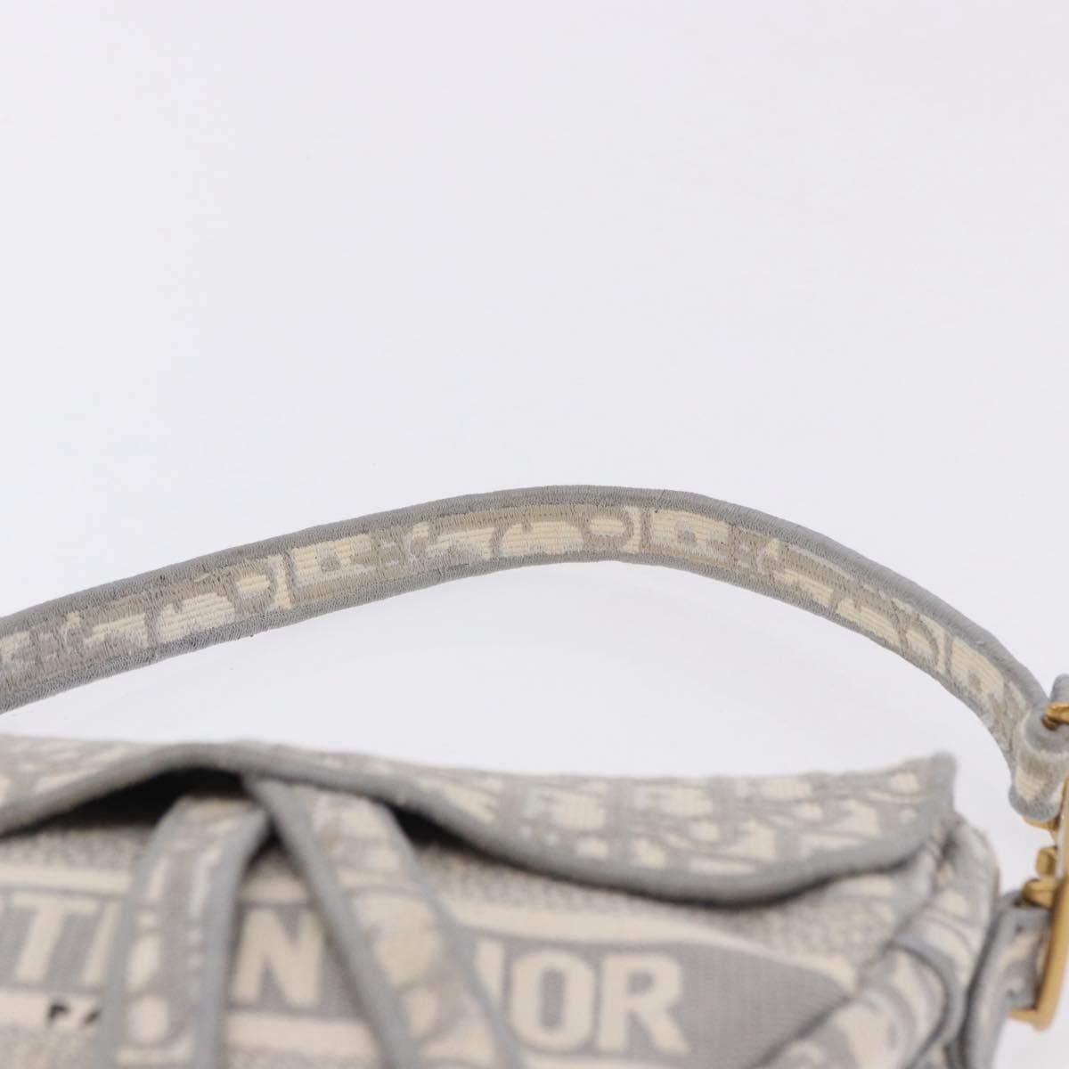 Christian Dior Trotter Canvas Saddle Oblique Bag Gray Gold Auth 199836SM