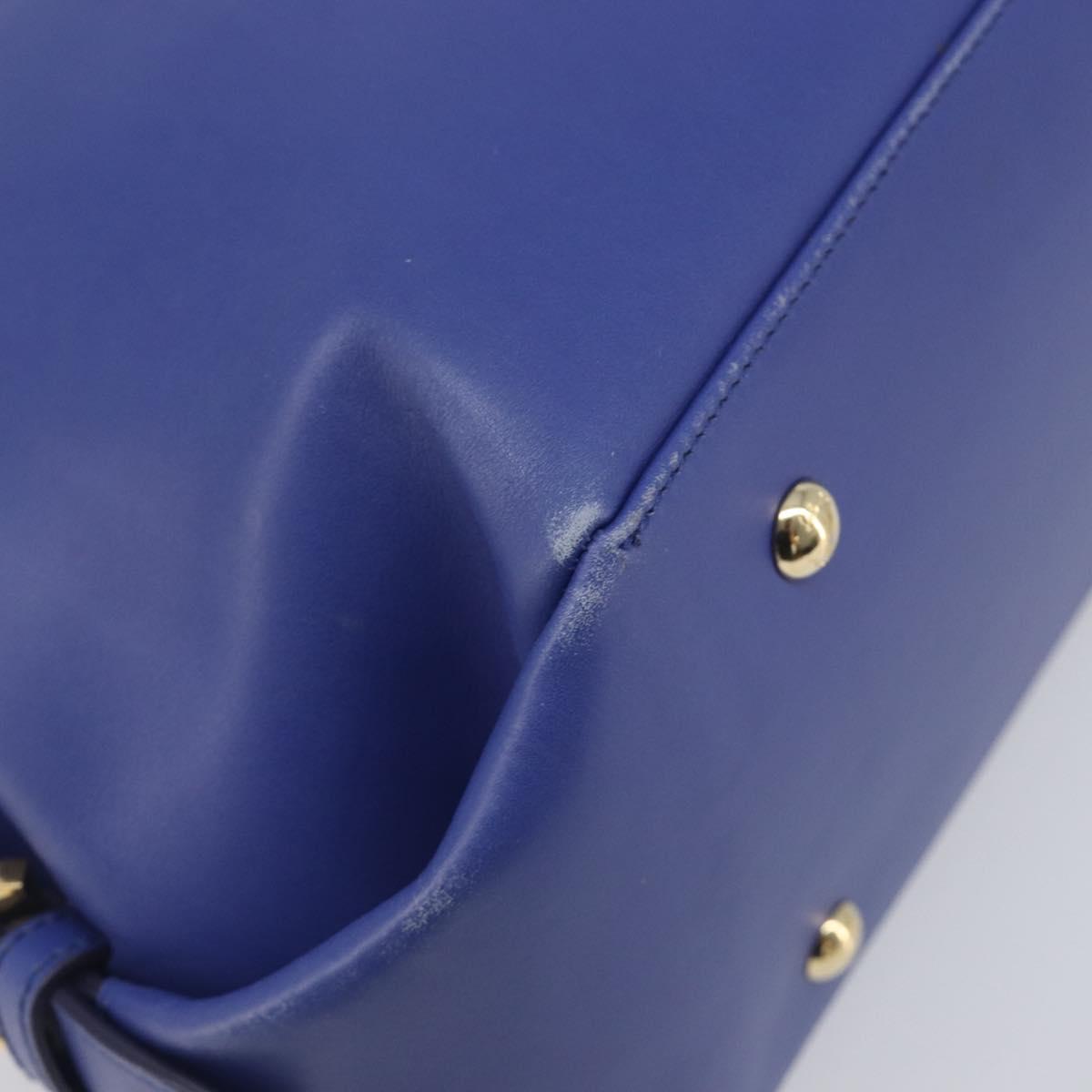 Salvatore Ferragamo Hand Bag Leather 2way Blue Gold Tone Auth 200138A
