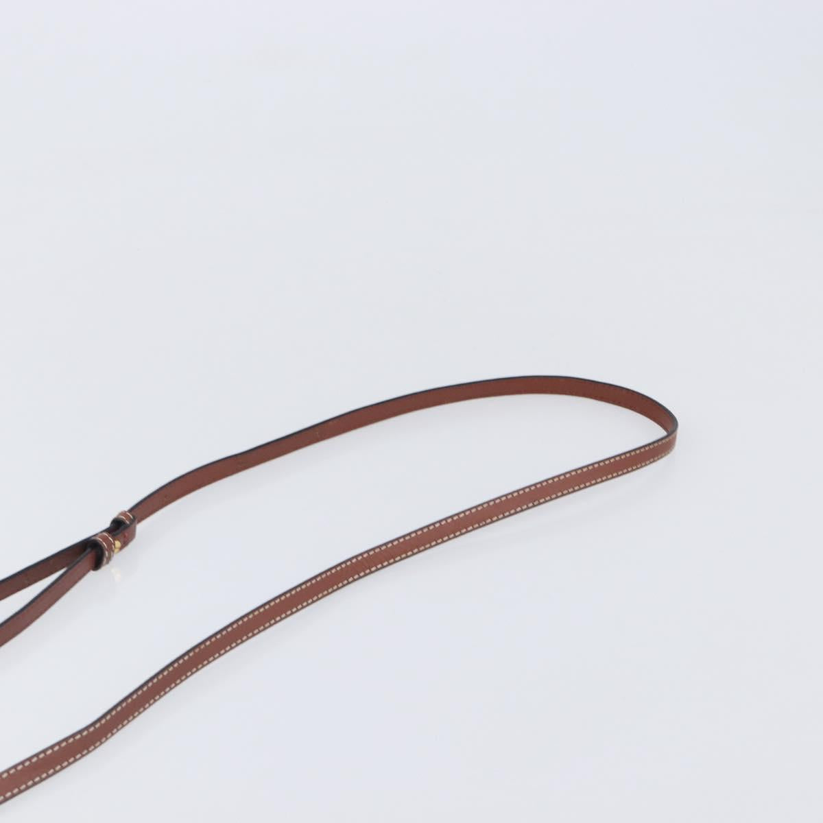 LOEWE Phone Pouch Leather Brown Gold Auth 200754