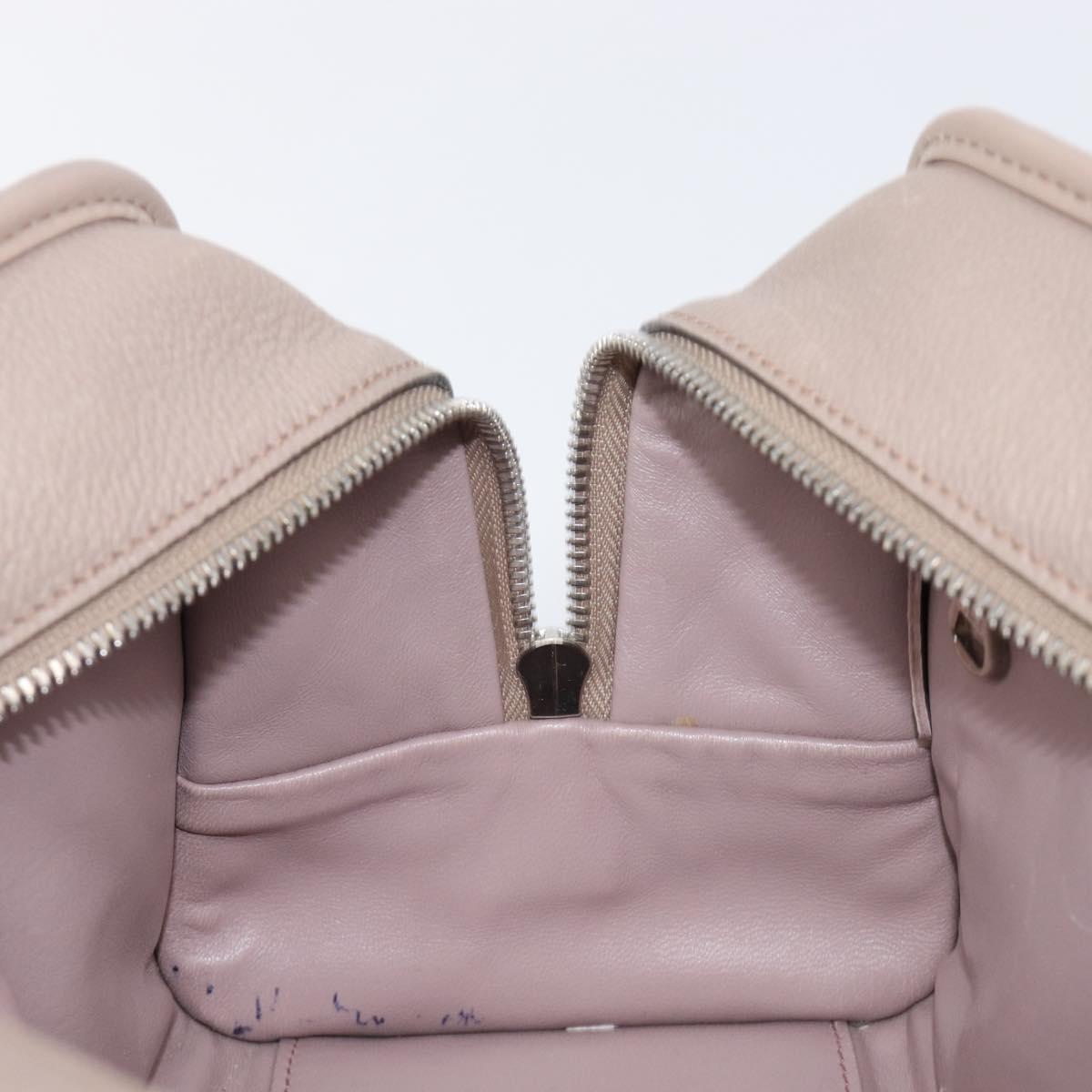 LOEWE Amazona 28 Hand Bag Leather Pink Silver Auth 200805V