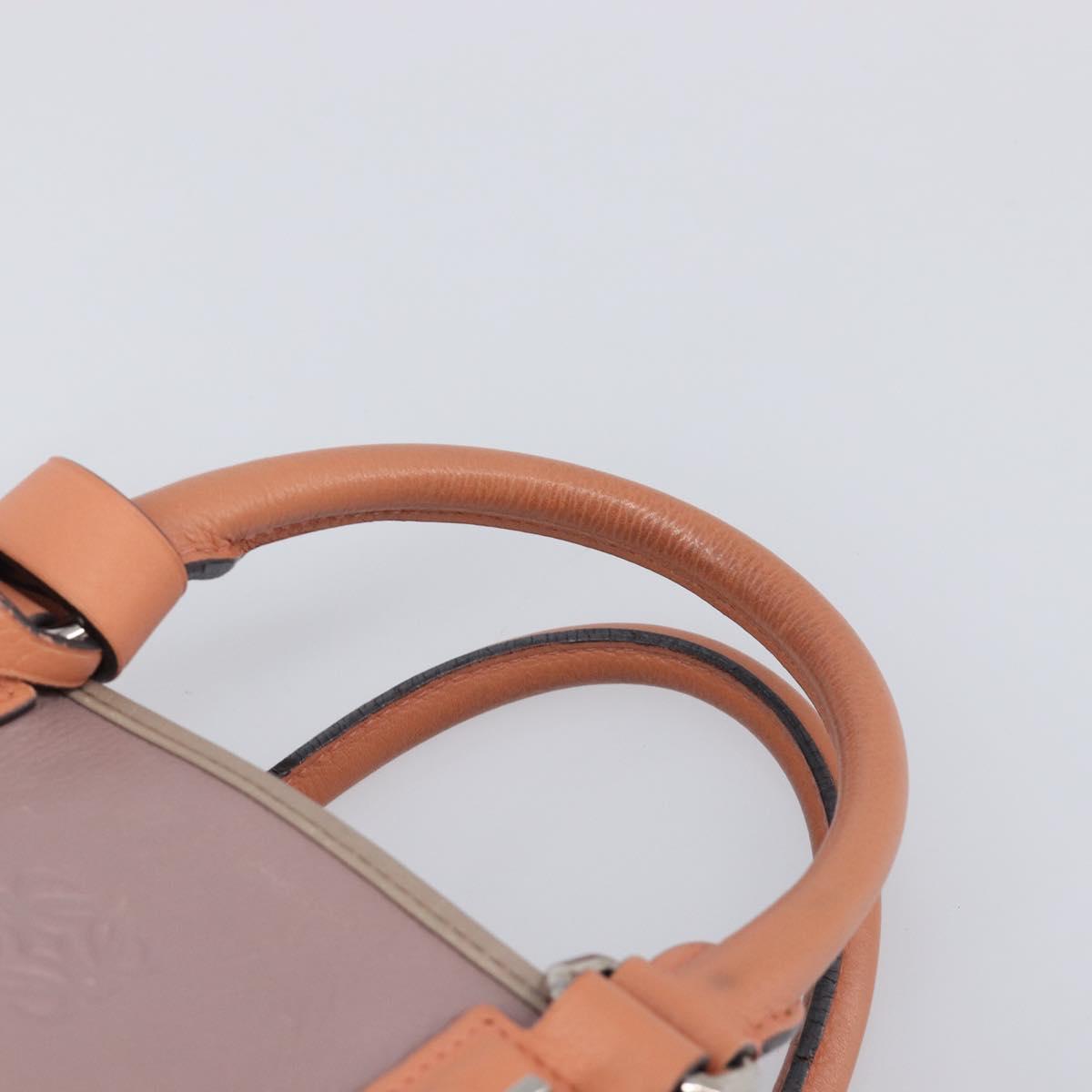 LOEWE Amazona 28 Hand Bag Leather Pink Silver Auth 200805V