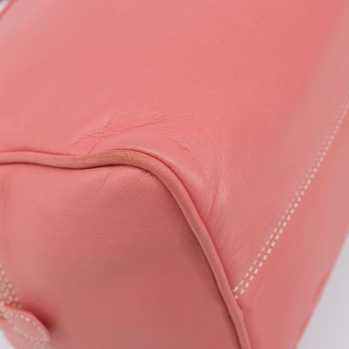 LOEWE Hand Bag Leather Pink Gold Tone Auth 200810V