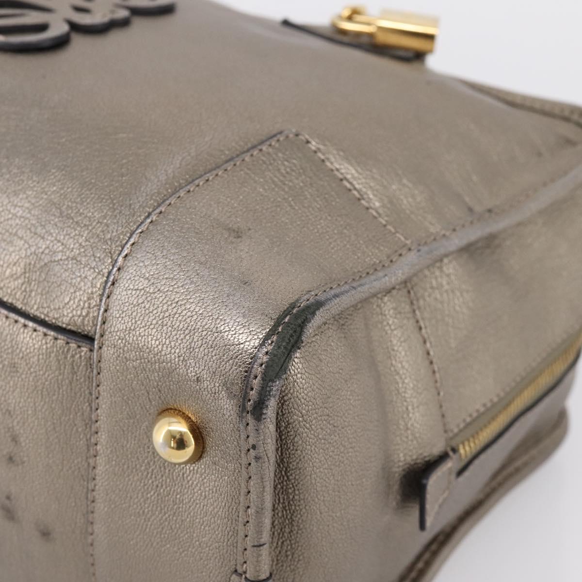 LOEWE Amazona 36 Hand Bag Leather Gold Silver Auth 200941