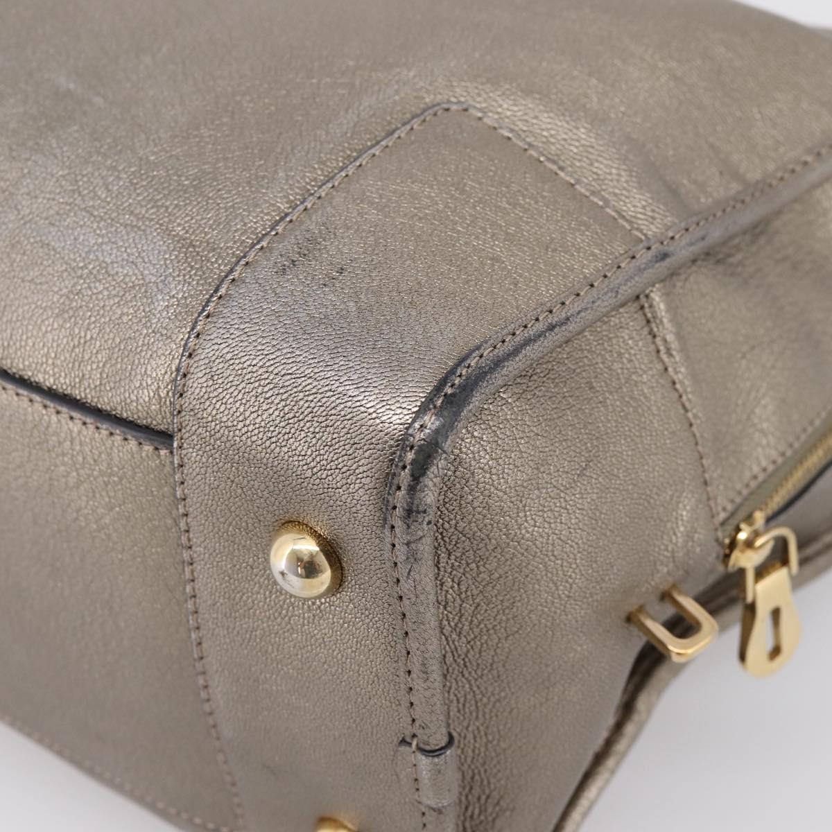 LOEWE Amazona 36 Hand Bag Leather Gold Silver Auth 200941