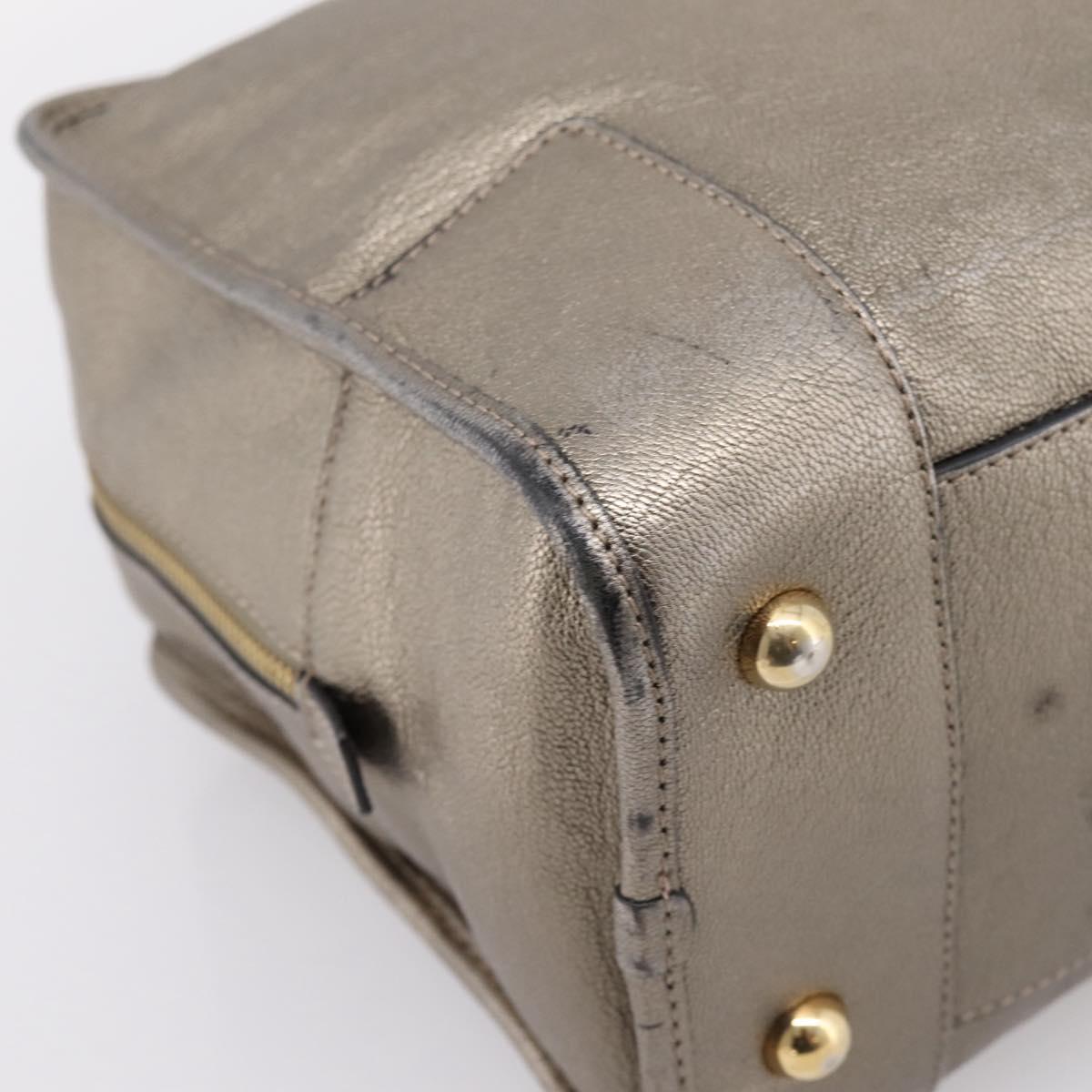 LOEWE Amazona 36 Hand Bag Leather Gold Silver Auth 200941