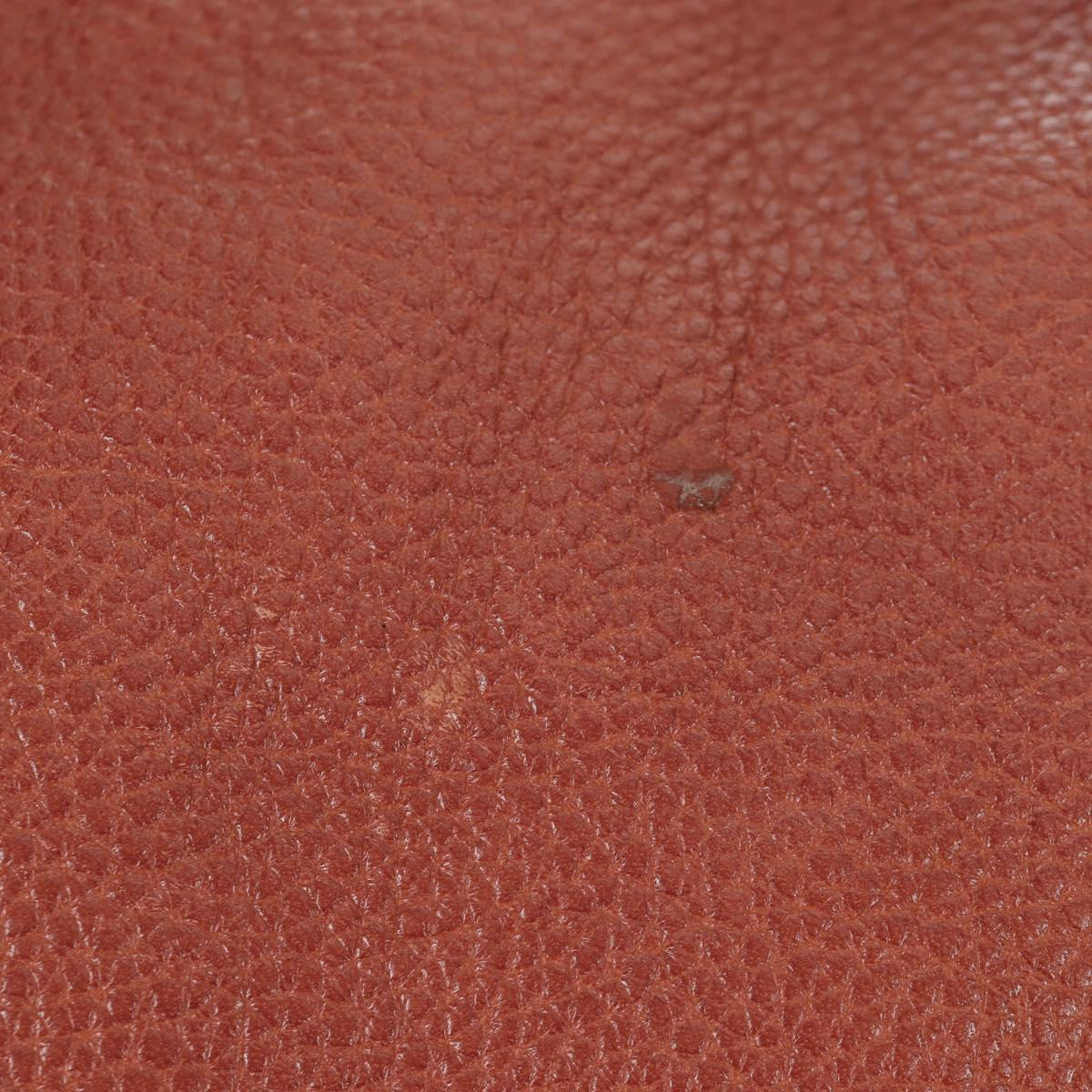 Chloe Paraty Hand Bag Leather 2way Brown Gold Auth 200955V