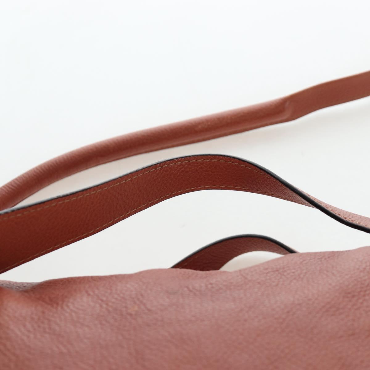 Chloe Paraty Hand Bag Leather 2way Brown Gold Auth 200955V