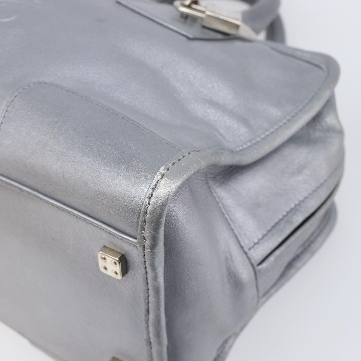 LOEWE Amazona 28 Hand Bag Leather Silver Gold Auth 200992V