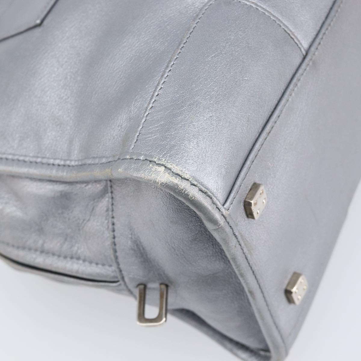 LOEWE Amazona 28 Hand Bag Leather Silver Gold Auth 200992V