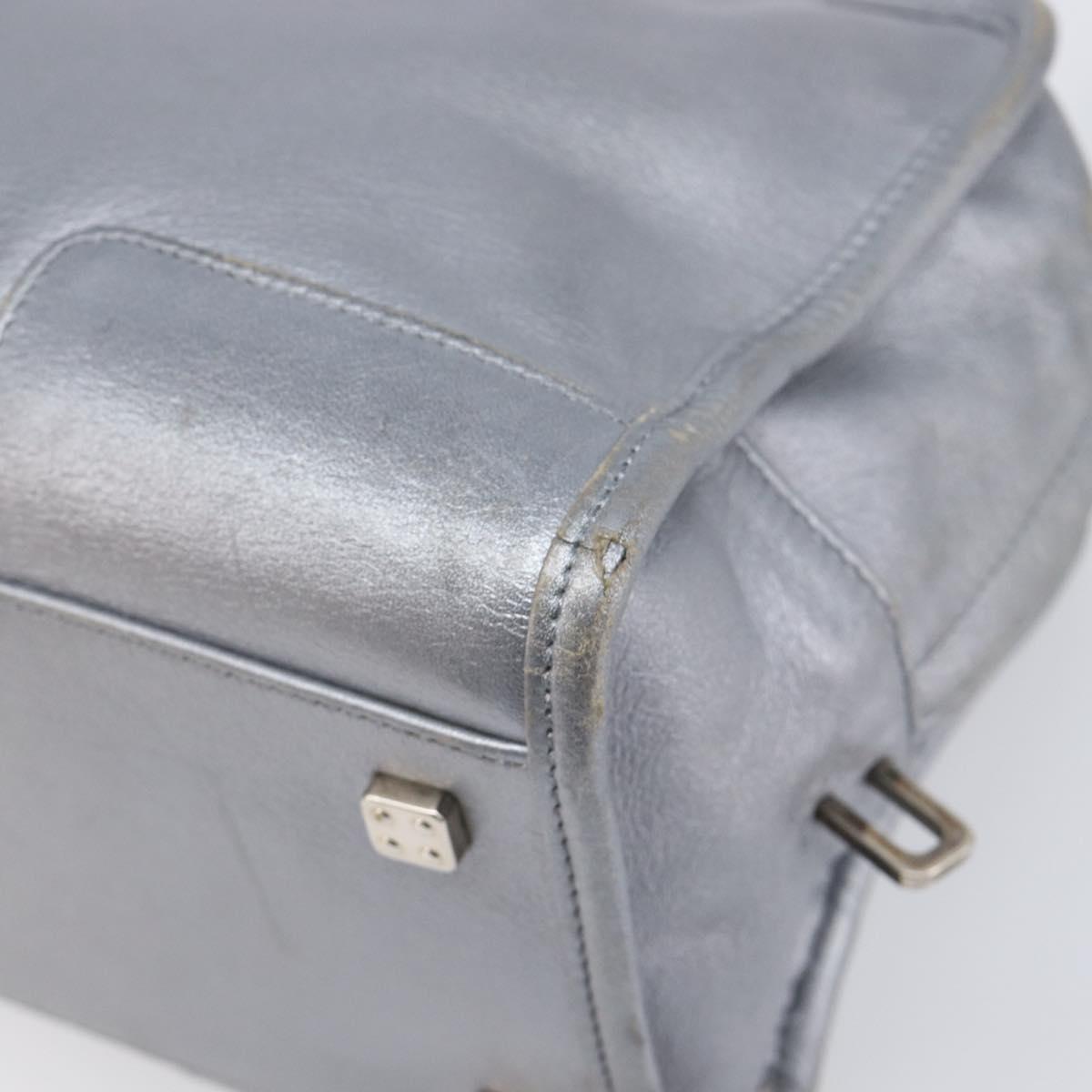 LOEWE Amazona 28 Hand Bag Leather Silver Gold Auth 200992V