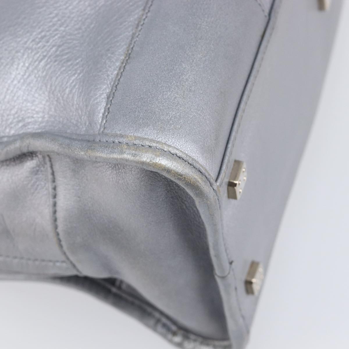 LOEWE Amazona 28 Hand Bag Leather Silver Gold Auth 200992V