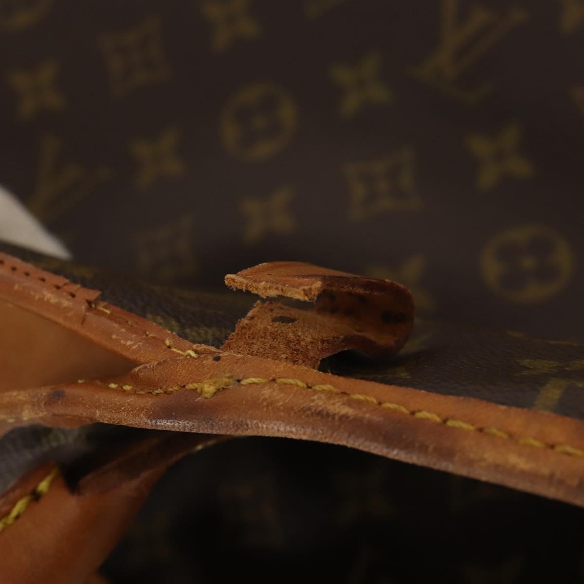 LOUIS VUITTON Monogram Sac De Portmanteau Garment Cover M23544 LV Auth 202005