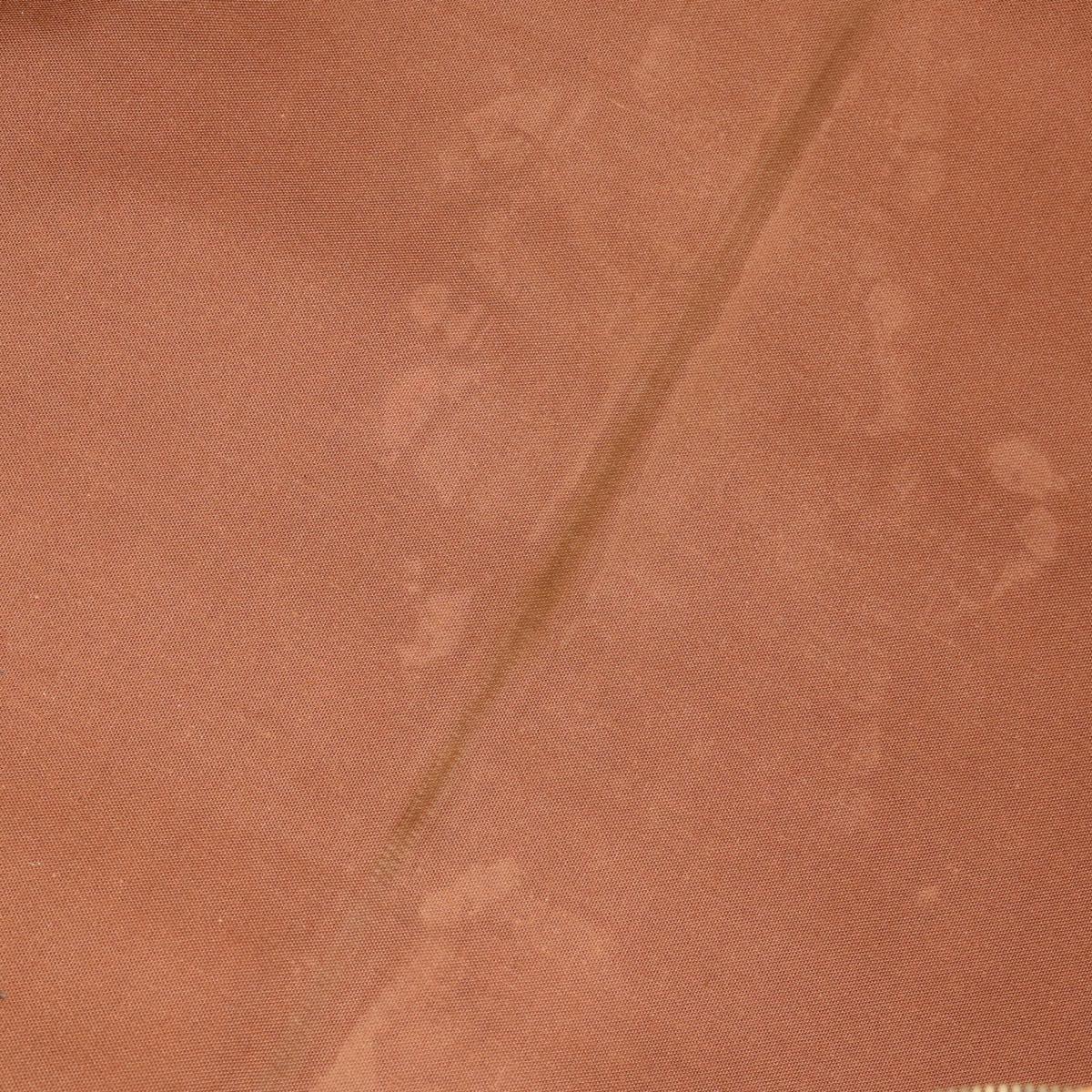 LOUIS VUITTON Monogram Sac de Portmanteau Garment Cover M23544 LV Auth 202156
