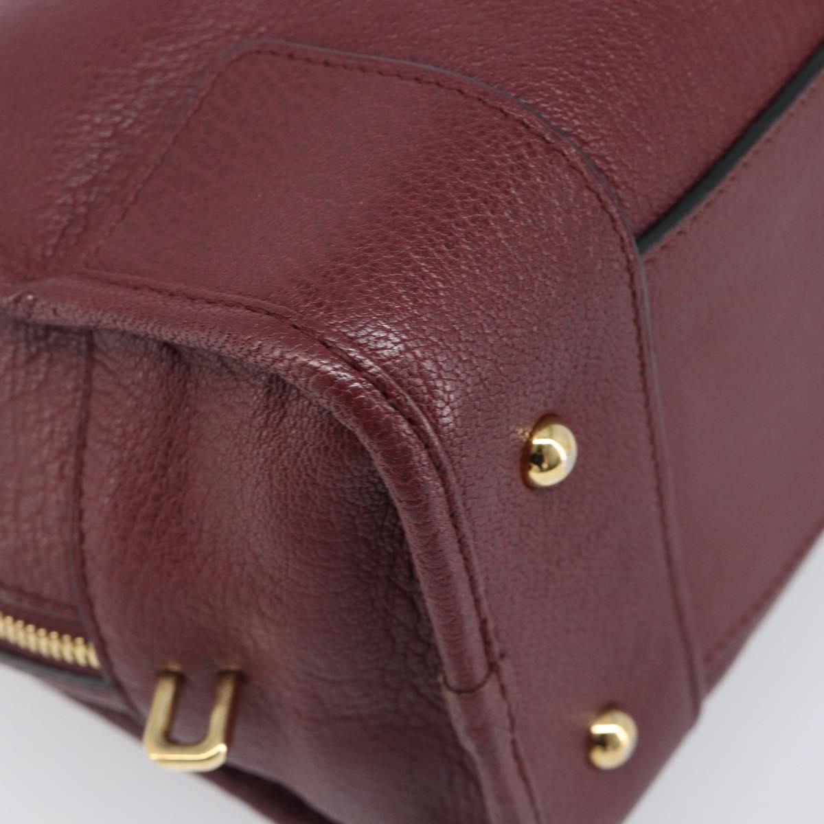 LOEWE Amazona 28 Hand Bag Leather Bordeaux Gold Auth 202297V