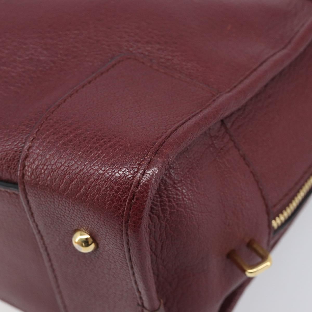 LOEWE Amazona 28 Hand Bag Leather Bordeaux Gold Auth 202297V